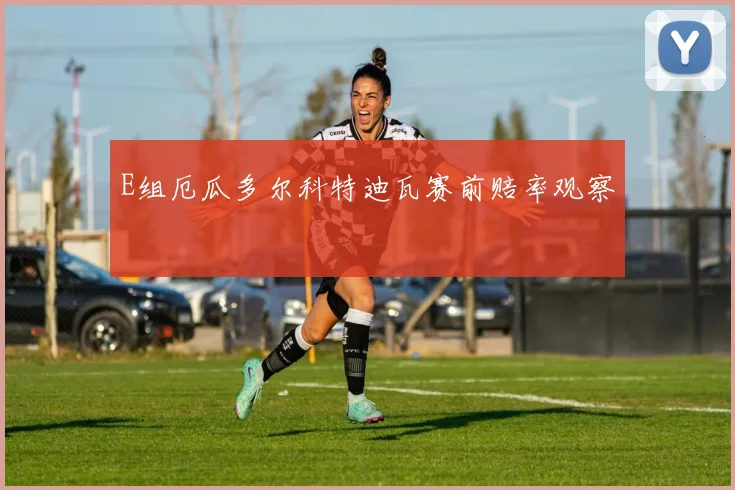 E组厄瓜多尔科特迪瓦赛前赔率观察