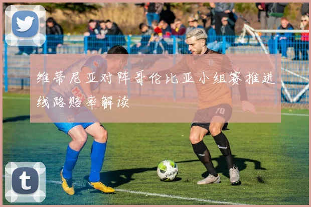 维蒂尼亚对阵哥伦比亚小组赛推进线路赔率解读